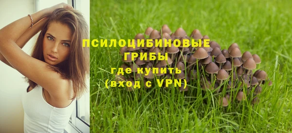 каннабис Горно-Алтайск