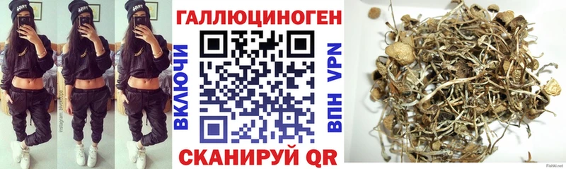 Купить где  Арск  Галлюциногенные грибы GOLDEN TEACHER 